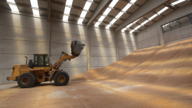 РЗС: госзакупки зерна не окажут существенного влияния на рынок